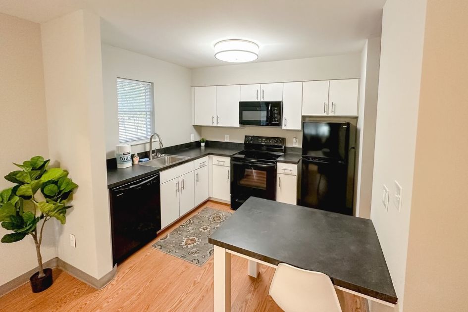 Furnished Apartment Photo of the Kitchen